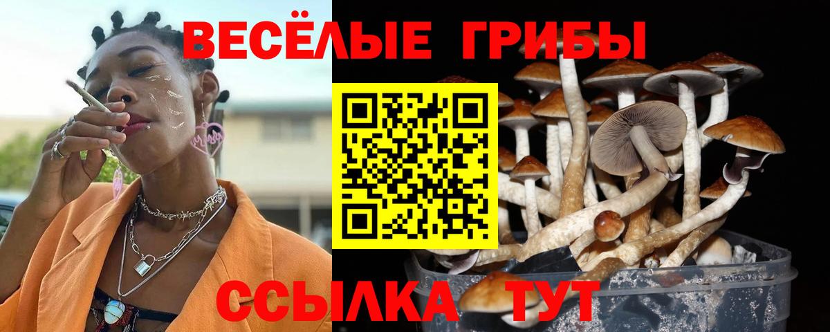 Псилоцибиновые грибы мухоморы  Галлюциногенные грибы Magic Shrooms  Вход с VPN  купить  цена  Кубинка 