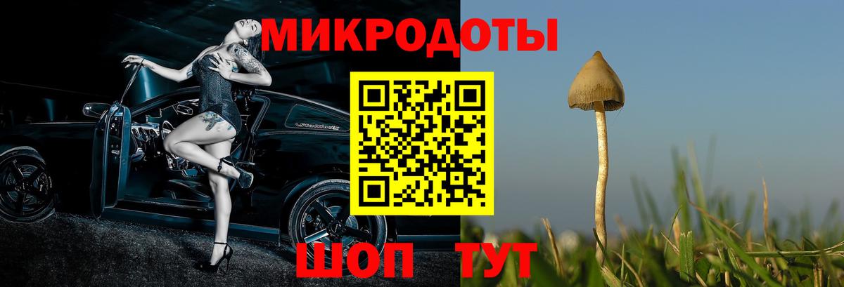 Галлюциногенные грибы мухоморы Кубинка