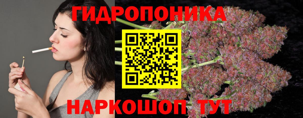Канабис конопля  Вход с VPN  Кубинка  Шишки марихуана Bruce Banner 
